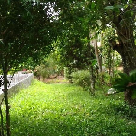 Philip Mary Farm Stay Thekkady Exterior photo
