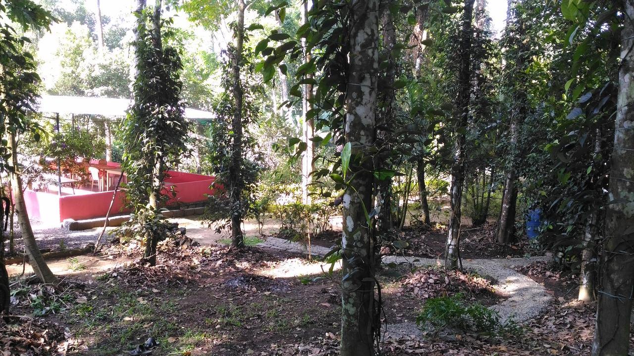 Philip Mary Farm Stay Thekkady Exterior photo
