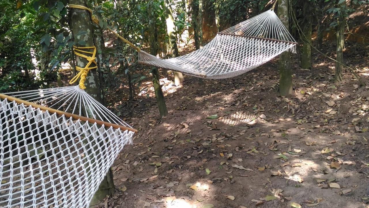 Philip Mary Farm Stay Thekkady Exterior photo