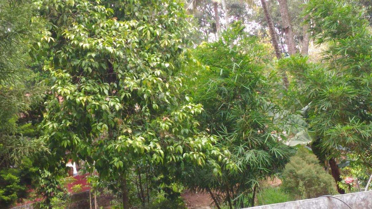Philip Mary Farm Stay Thekkady Exterior photo
